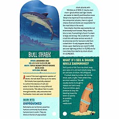 Fandex Kids: Sharks: Facts That Fit in Your Hand: 51 Sharks, Prehistoric Predators, and More Inside!