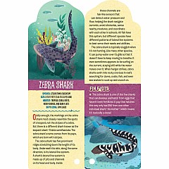 Fandex Kids: Sharks: Facts That Fit in Your Hand: 51 Sharks, Prehistoric Predators, and More Inside!