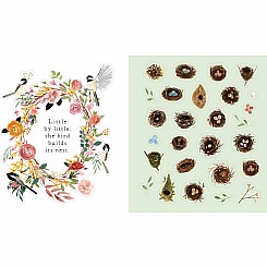 A Bird Lover's Sticker Book