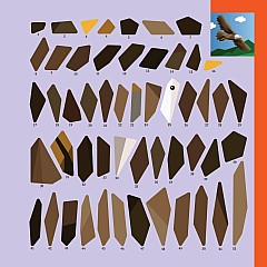 Paint by Sticker Kids: America: Create 10 Pictures One Sticker at a Time!
