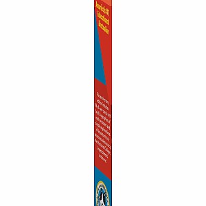 Brain Quest Presidents Smart Cards: America's 250th Anniversary Edition