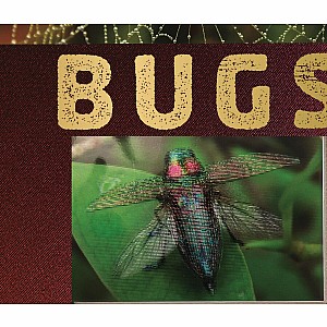 Bugs: A Photicular Book