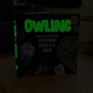 Owling: Enter the World of the Mysterious Birds of the Night