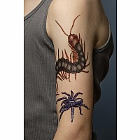 Creepy, Crawly Tattoo Bugs: 60 Temporary Tattoos That Teach