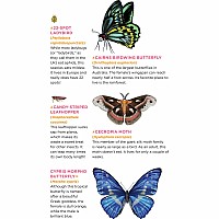 Fluttery, Friendly Tattoo Butterflies and Other Insects: 81 Temporary Tattoos That Teach