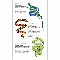 Slithering, Scaly Tattoo Snakes & Other Reptiles: 50 Temporary Tattoos That Teach