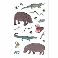 Wildlife Anatomy Sticker Book: A Julia Rothman Creation: More than 500 Stickers