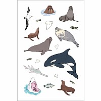 Wildlife Anatomy Sticker Book: A Julia Rothman Creation: More than 500 Stickers