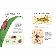 Insect Anatomy: The Curious World of Bees, Beetles, Butterflies, and Bugs