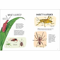 Insect Anatomy: The Curious World of Bees, Beetles, Butterflies, and Bugs
