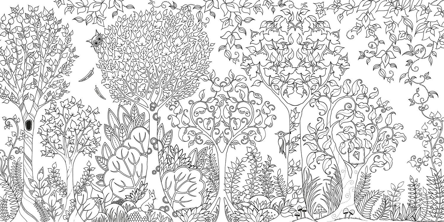 Enchanted Forest: An Inky Quest and Coloring Book for Adults