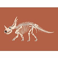 Match these Bones: A Dinosaur Memory Game