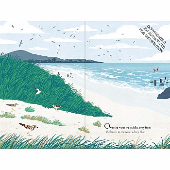 Over and Under the Waves