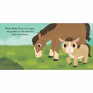 Baby Pony: Finger Puppet Book