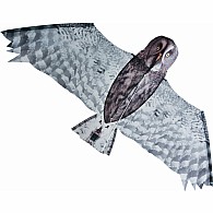 Grey Owl Kite