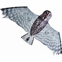 Grey Owl Kite