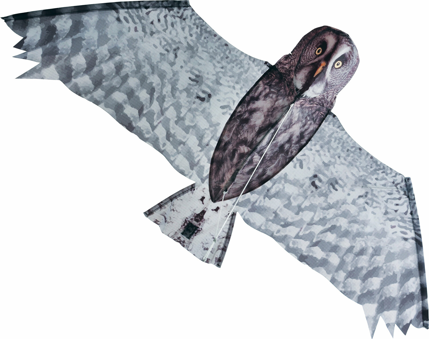 Grey Owl Kite