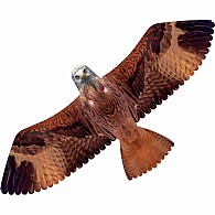 Red Kite Kite