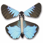 Wind up Australian Butterflies