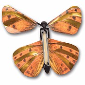 Wind up Australian Butterflies