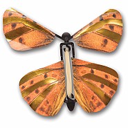 Wind up Australian Butterflies