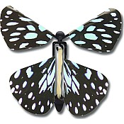 Wind up Australian Butterflies
