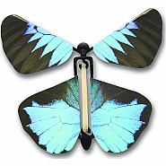 Wind up Australian Butterflies