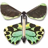 Wind up Australian Butterflies