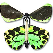 Wind up Australian Butterflies