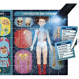 The Human Body under X-Ray