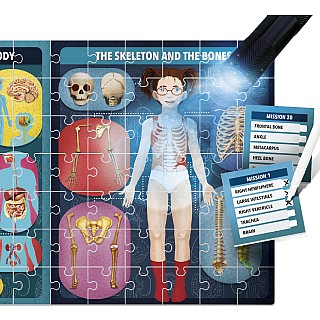 The Human Body under X-Ray