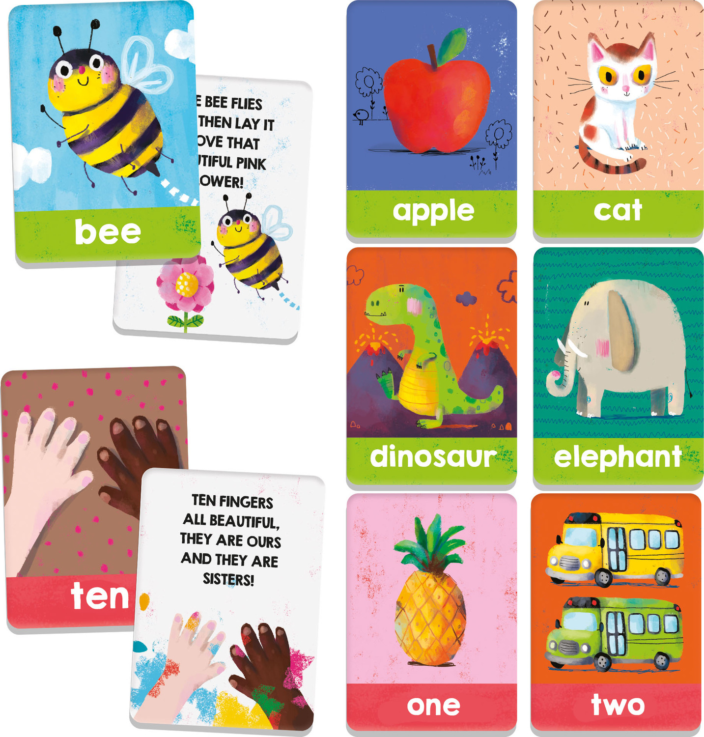 Discover Flashcards Montessori