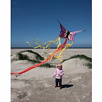 Butterfly Kite Ruby 'R'