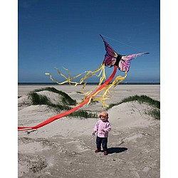 Butterfly Kite Ruby 'R'