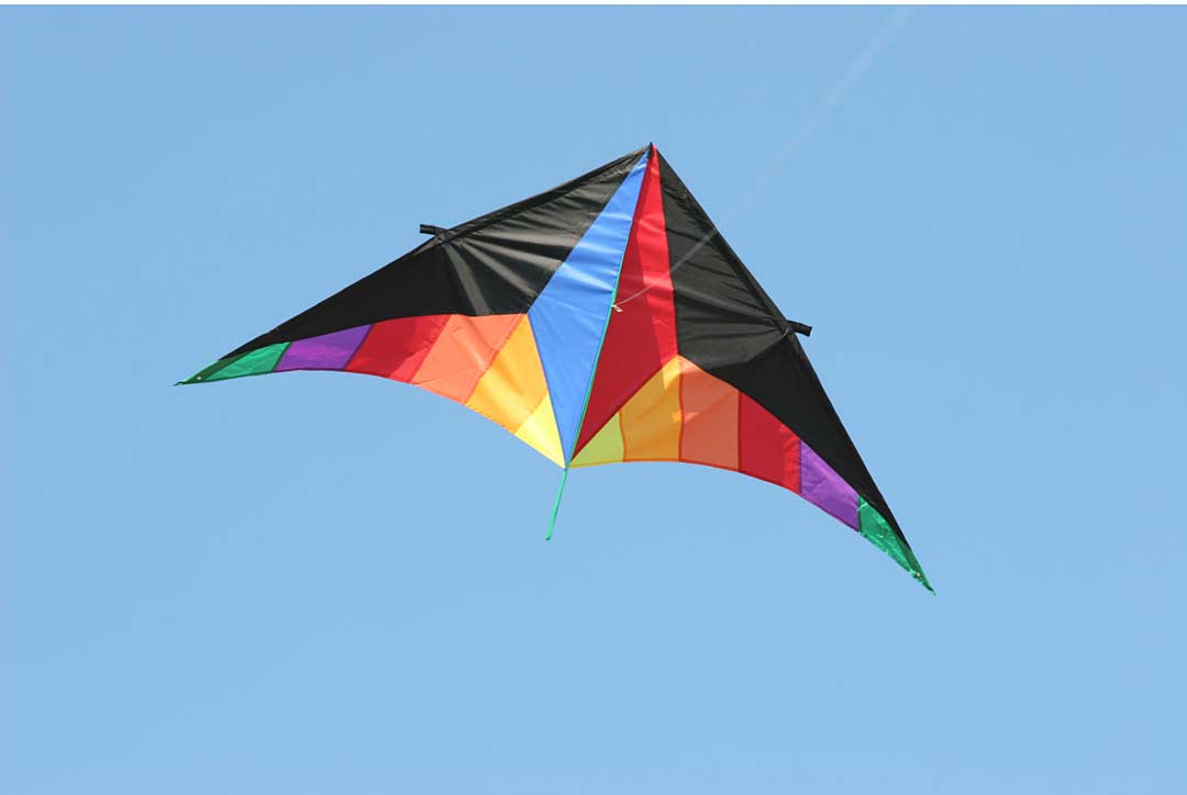 Delta Sport Kite 2 metre Single Line Kite 