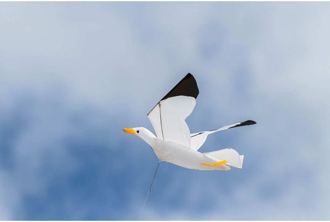 3D Seagull With Line Kite Kids Toy Outdoor Sports Beach Flying Kite Toys F9R5 