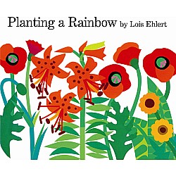 Planting a Rainbow