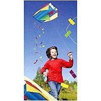House of Marbles Blue Kite with Blue Storage Bag 