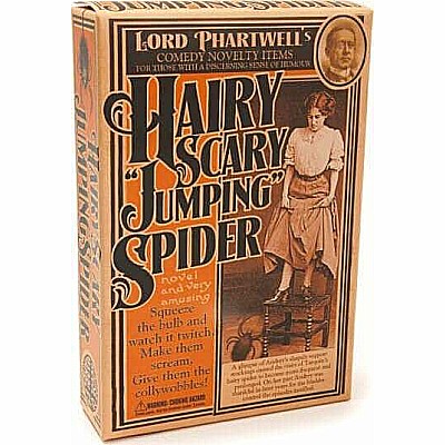 Hairy Scary Jumping Spider