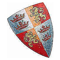 Liontouch Pretend-Play Foam Prince Lionheart Shield