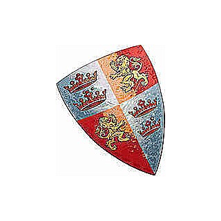 Liontouch Pretend-Play Foam Prince Lionheart Shield