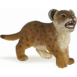 Lion Cub