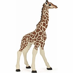 Giraffe Calf