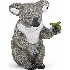 Koala Bear