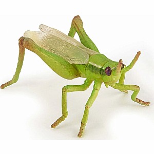 Papo France Grasshopper