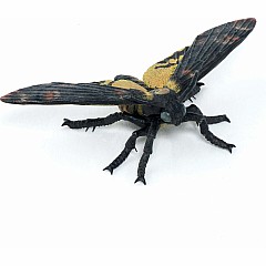 Papo France Moth