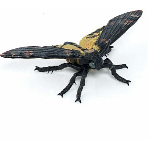 Papo France Moth