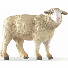 Merinos Sheep