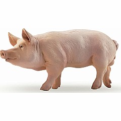 Papo France Boar