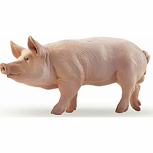 Papo France Boar